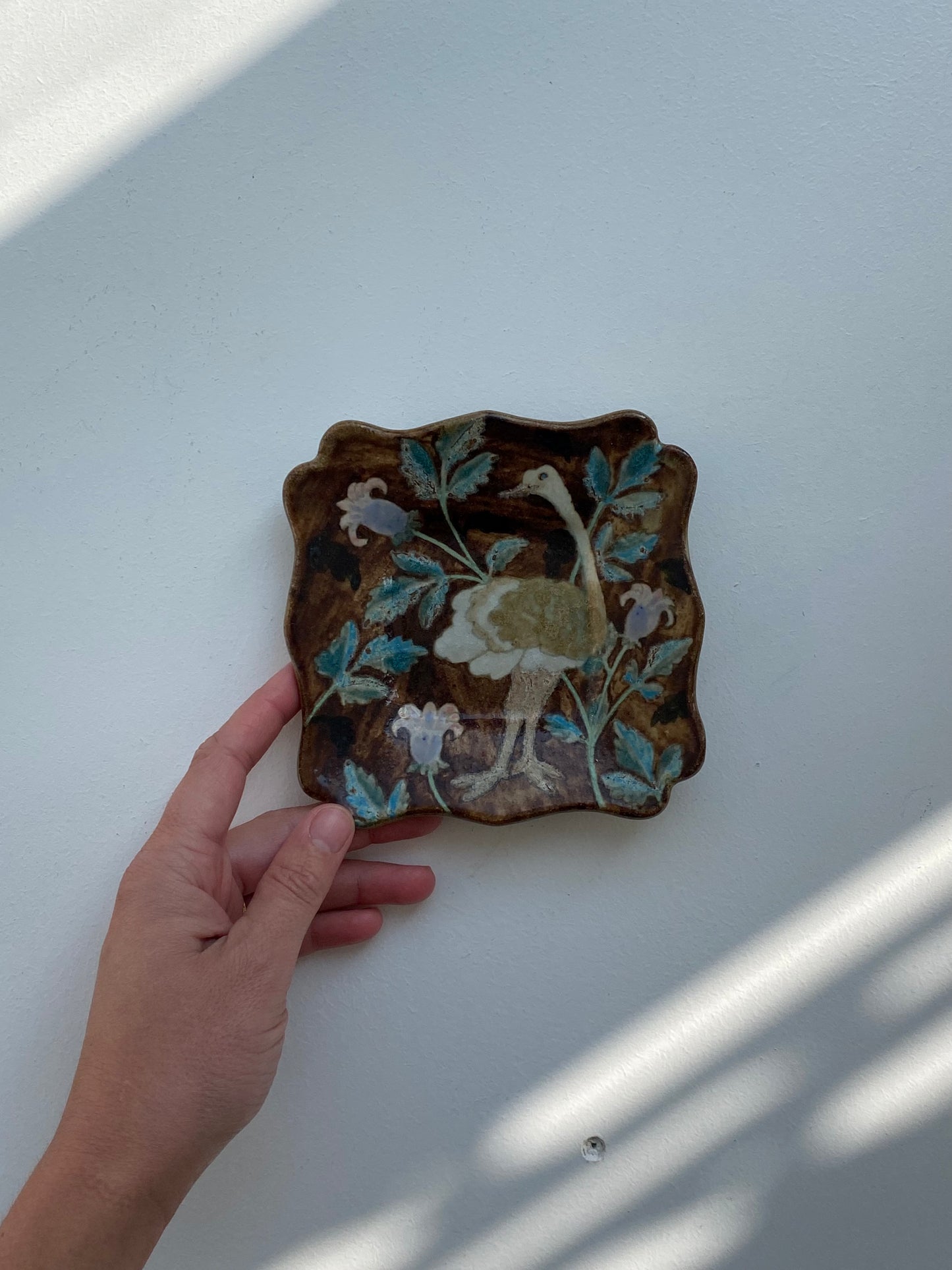 Ostrich Dish