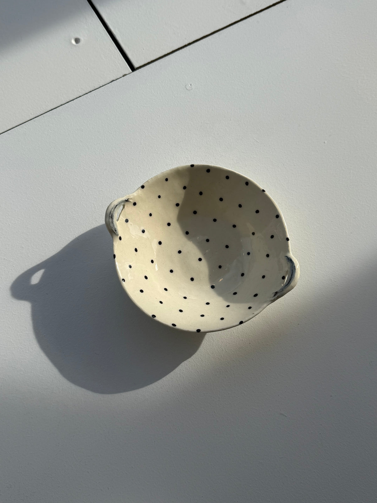 Anchovy Dot Bowl
