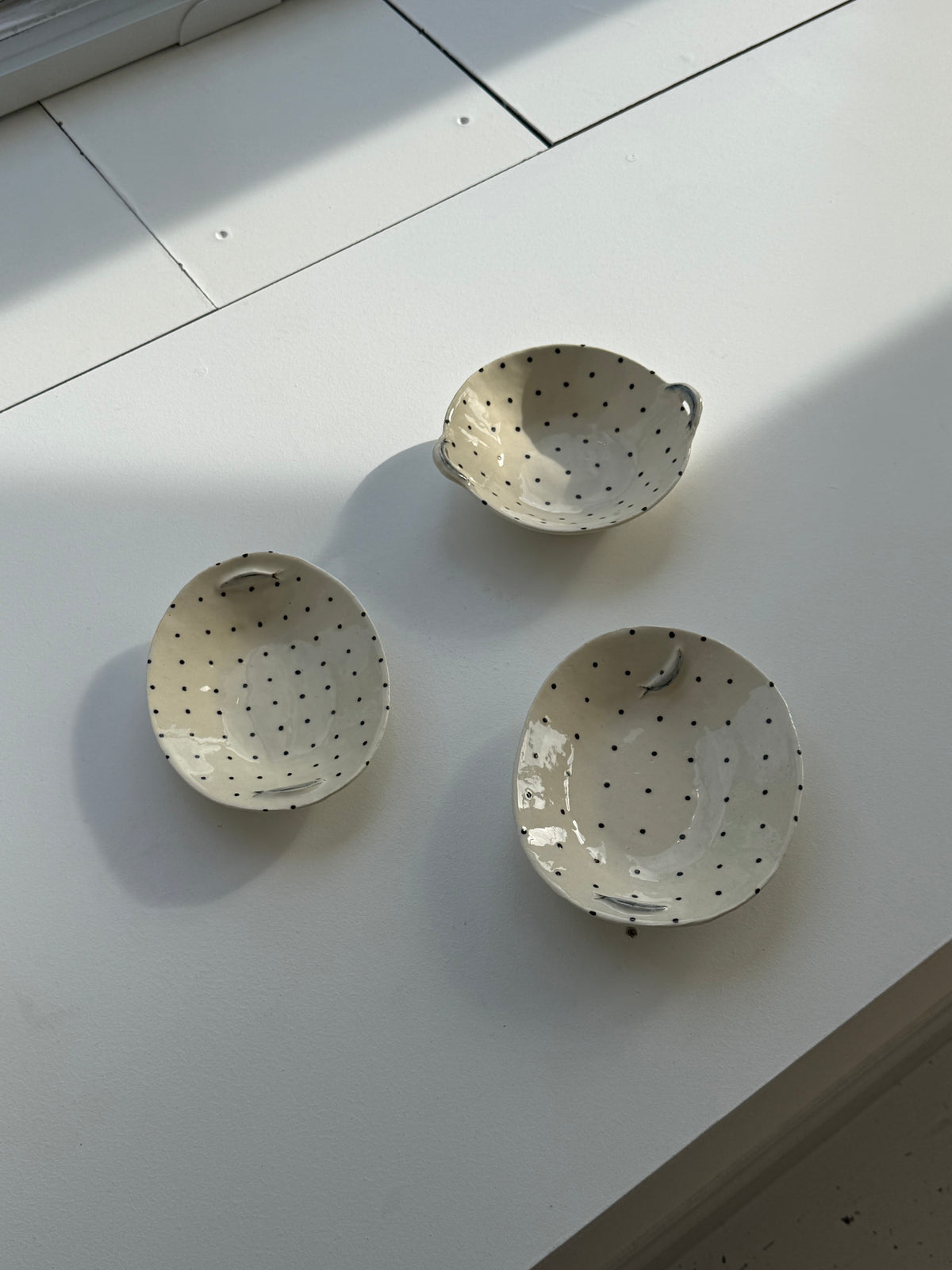 Anchovy Dot Dish