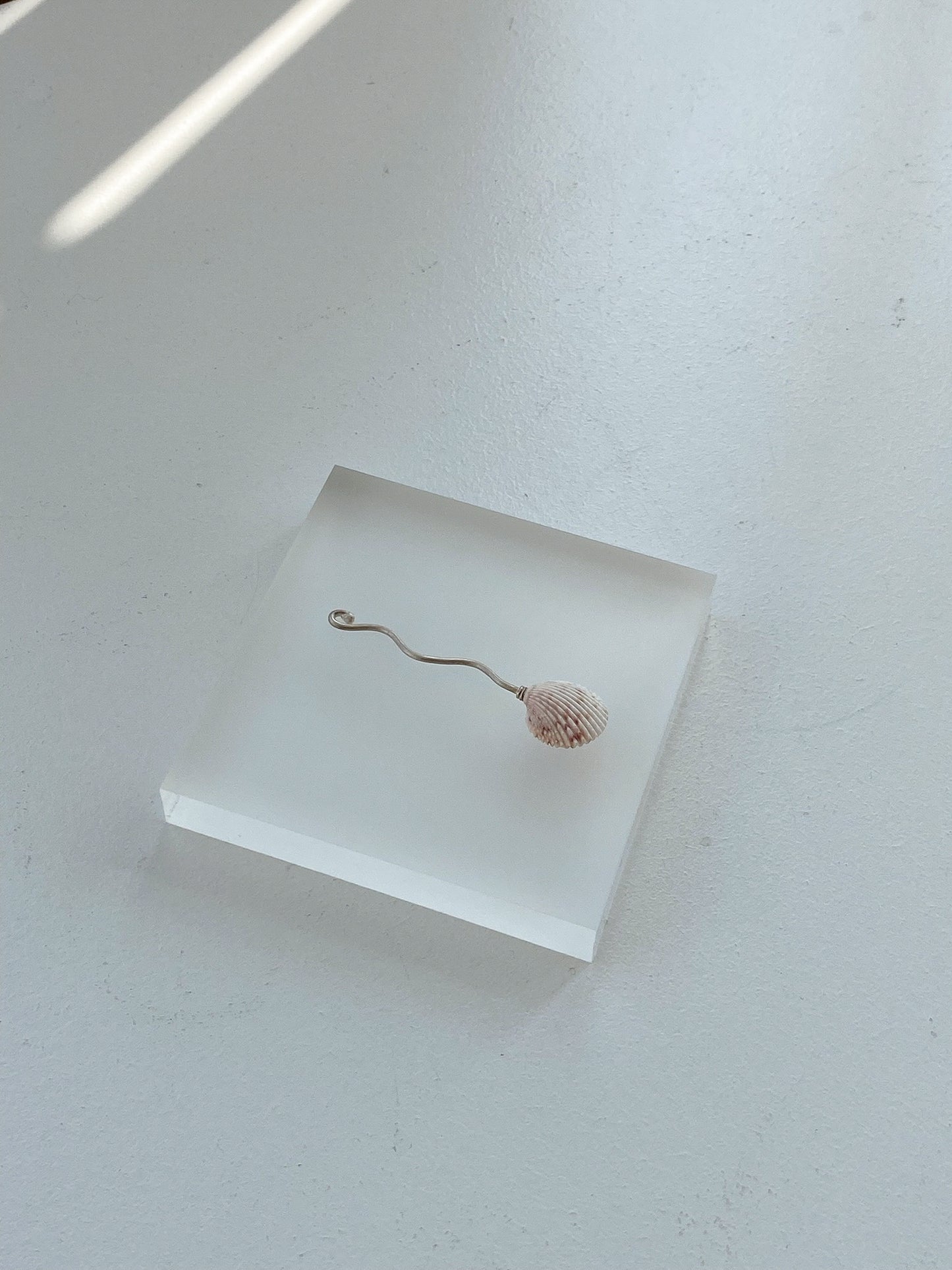 Shell Spoon 2