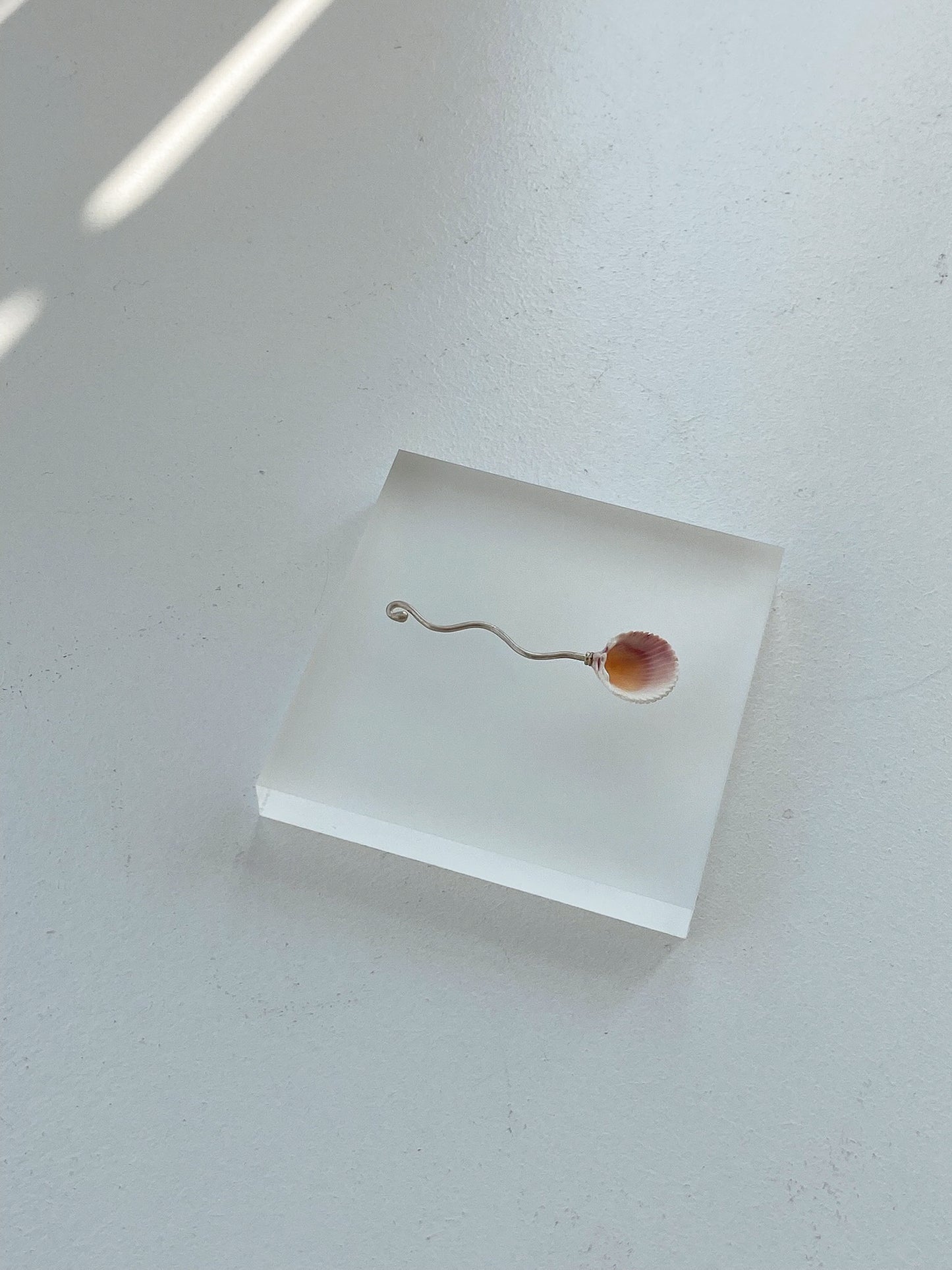 Shell Spoon 2