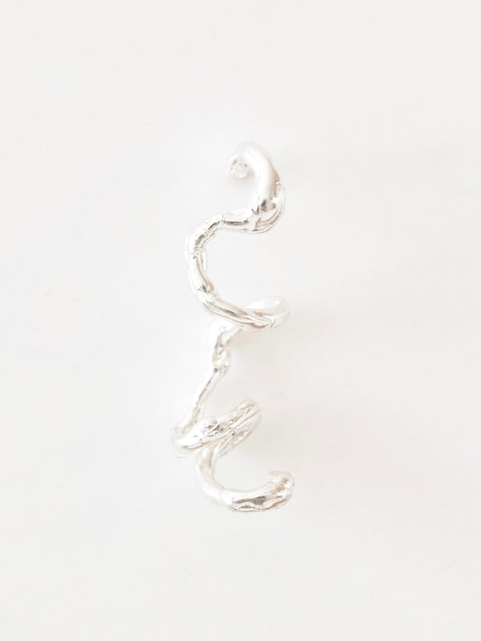 Curly Earrings