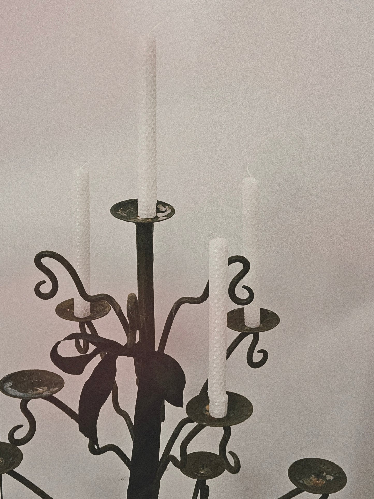 Tree Candelabra